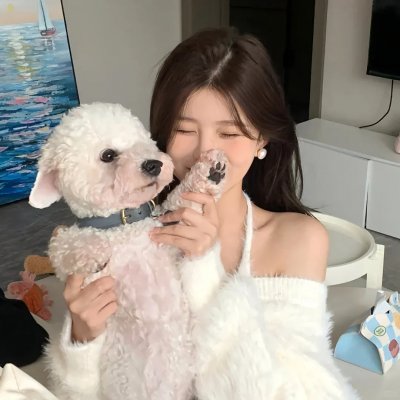 学校的墙不见了